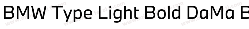 BMW Type Light Bold DaMa BMWType Bo字体转换
